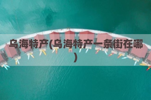乌海特产(乌海特产一条街在哪)
