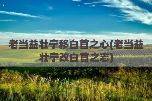 老当益壮宁移白首之心(老当益壮宁改白首之志)