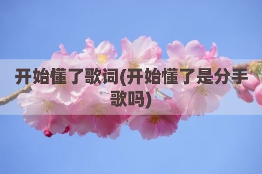 开始懂了歌词(开始懂了是分手歌吗)