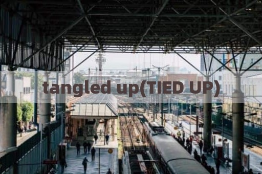 tangled up(TIED UP)