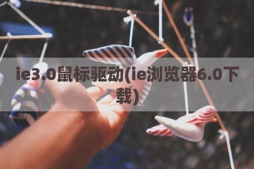ie3.0鼠标驱动(ie浏览器6.0下载)