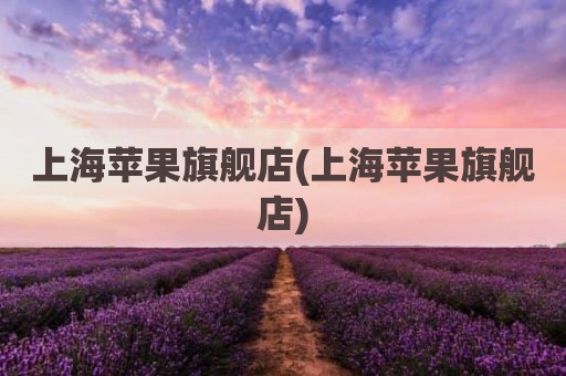 上海苹果旗舰店(上海苹果旗舰店)