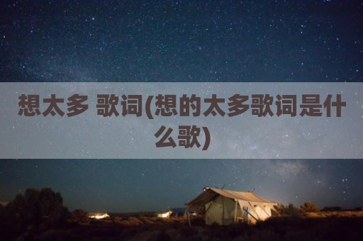 想太多 歌词(想的太多歌词是什么歌)