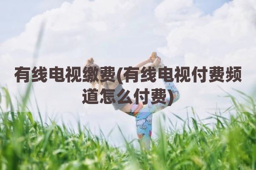 有线电视缴费(有线电视付费频道怎么付费)