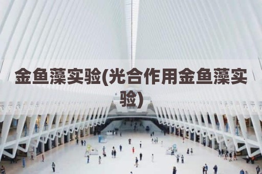 金鱼藻实验(光合作用金鱼藻实验)