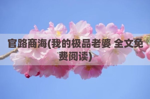 官路商海(我的极品老婆 全文免费阅读)