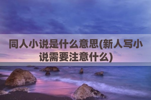 同人小说是什么意思(新人写小说需要注意什么)