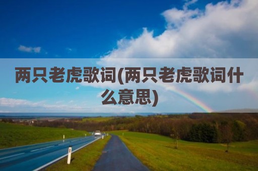 两只老虎歌词(两只老虎歌词什么意思)