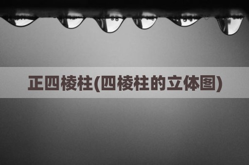 正四棱柱(四棱柱的立体图)