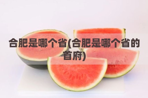 合肥是哪个省(合肥是哪个省的首府)