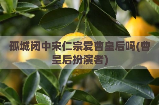 孤城闭中宋仁宗爱曹皇后吗(曹皇后扮演者)