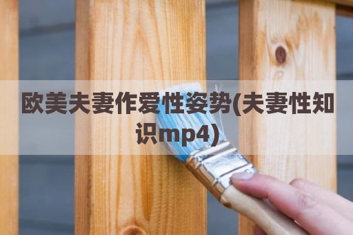 欧美夫妻作爱性姿势(夫妻性知识mp4)