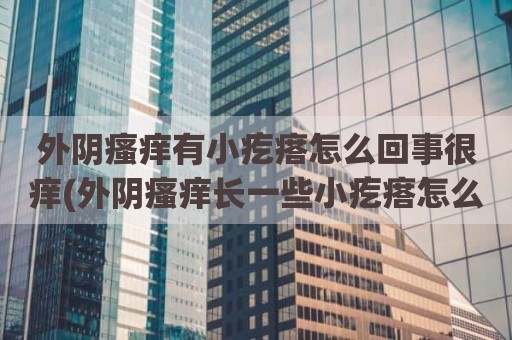 外阴瘙痒有小疙瘩怎么回事很痒(外阴瘙痒长一些小疙瘩怎么回事)