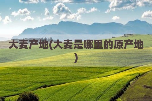 大麦产地(大麦是哪里的原产地)