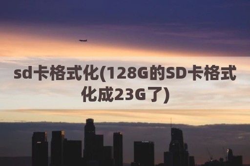 sd卡格式化(128G的SD卡格式化成23G了)