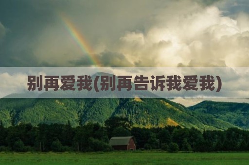 别再爱我(别再告诉我爱我)
