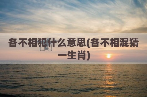 各不相犯什么意思(各不相混猜一生肖)
