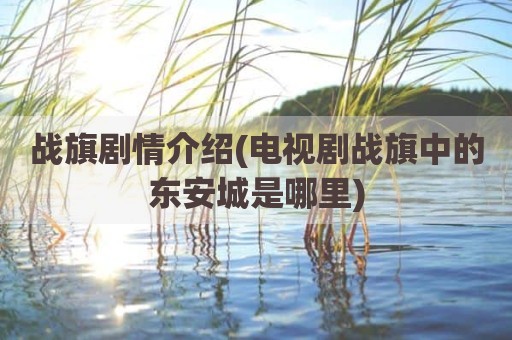 战旗剧情介绍(电视剧战旗中的东安城是哪里)