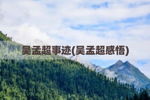 吴孟超事迹(吴孟超感悟)