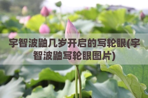 宇智波鼬几岁开启的写轮眼(宇智波鼬写轮眼图片)