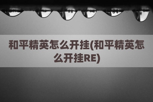 和平精英怎么开挂(和平精英怎么开挂RE)