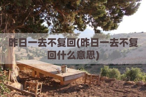 昨日一去不复回(昨日一去不复回什么意思)