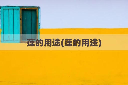莲的用途(莲的用途)