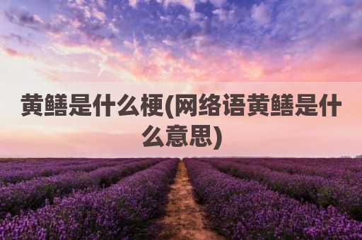 黄鳝是什么梗(网络语黄鳝是什么意思)