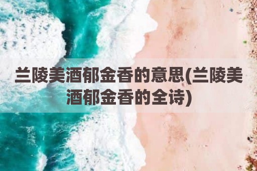 兰陵美酒郁金香的意思(兰陵美酒郁金香的全诗)