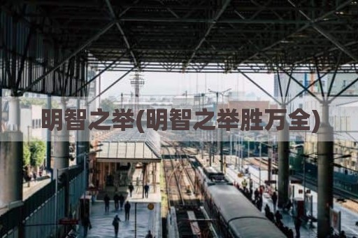 明智之举(明智之举胜万全)