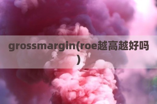 grossmargin(roe越高越好吗)