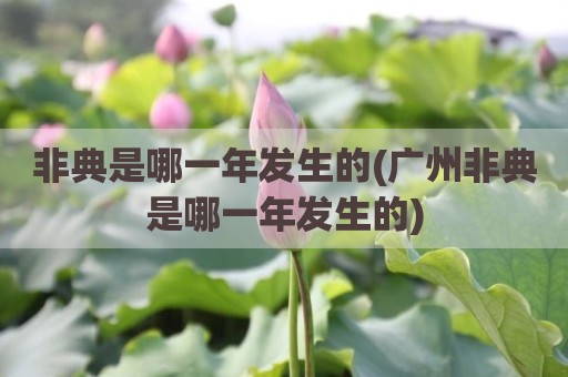 非典是哪一年发生的(广州非典是哪一年发生的)