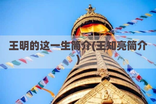 王明的这一生简介(王知亮简介)