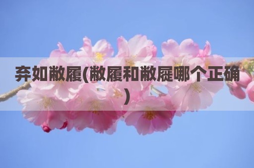 弃如敝履(敝履和敝屣哪个正确)