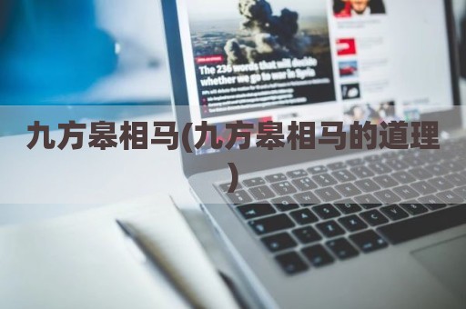 九方皋相马(九方皋相马的道理)