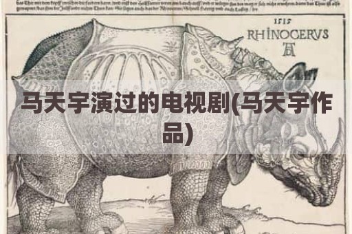 马天宇演过的电视剧(马天宇作品)