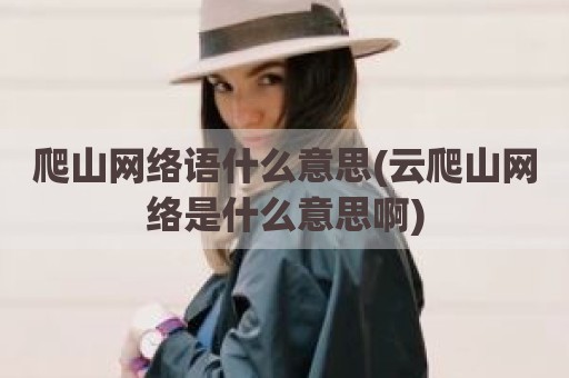 爬山网络语什么意思(云爬山网络是什么意思啊)