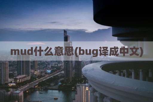 mud什么意思(bug译成中文)