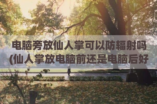 电脑旁放仙人掌可以防辐射吗(仙人掌放电脑前还是电脑后好)