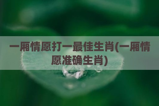一厢情愿打一最佳生肖(一厢情愿准确生肖)