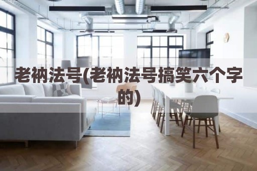 老衲法号(老衲法号搞笑六个字的)