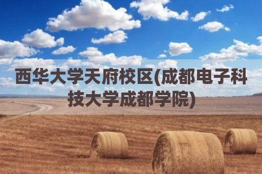西华大学天府校区(成都电子科技大学成都学院)