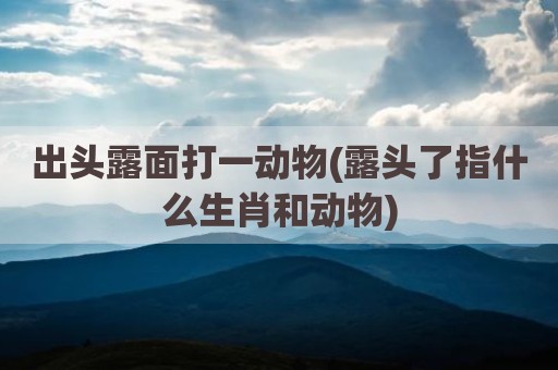 出头露面打一动物(露头了指什么生肖和动物)