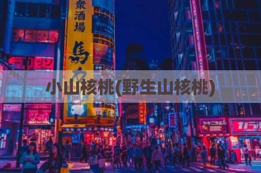 小山核桃(野生山核桃)