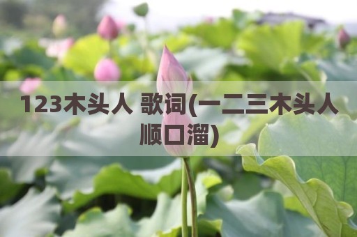 123木头人 歌词(一二三木头人顺口溜)