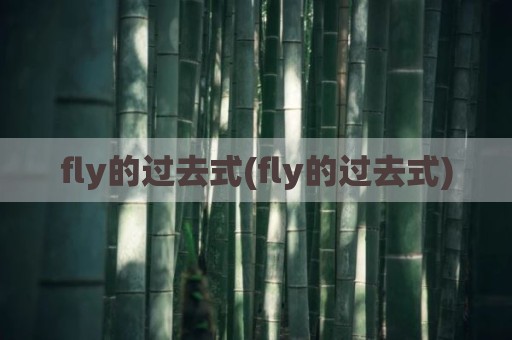 fly的过去式(fly的过去式)