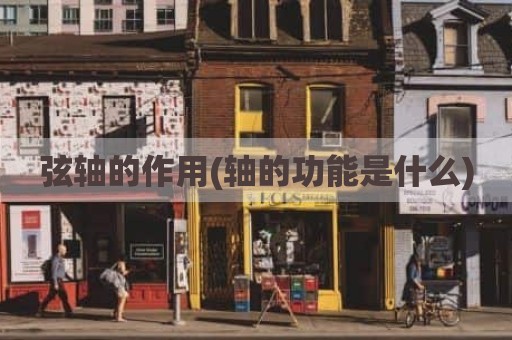 弦轴的作用(轴的功能是什么)