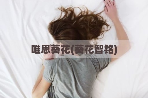 唯思葵花(葵花智铭)