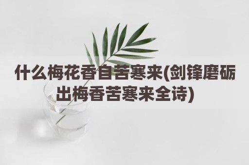 什么梅花香自苦寒来(剑锋磨砺出梅香苦寒来全诗)