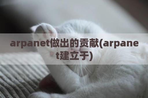 arpanet做出的贡献(arpanet建立于)